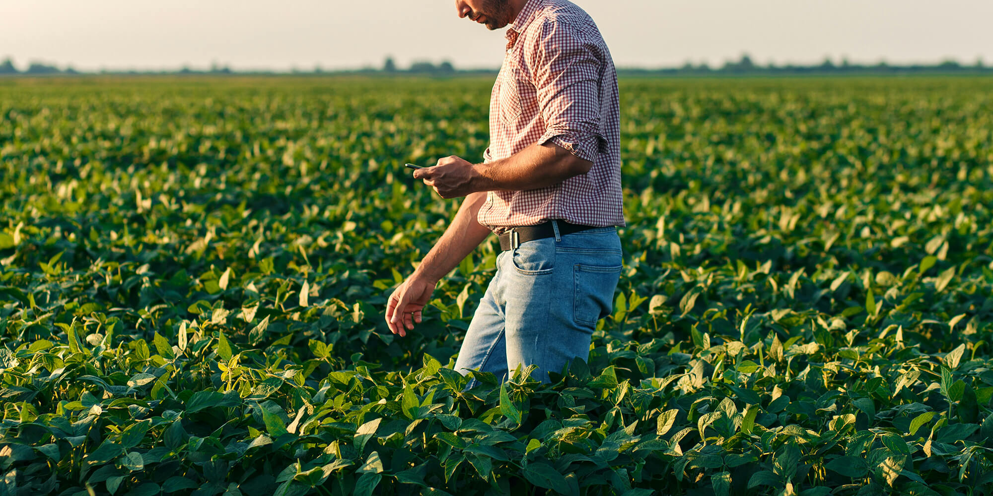 Πρότυπο Ολοκληρωμένης Διαχείρισης